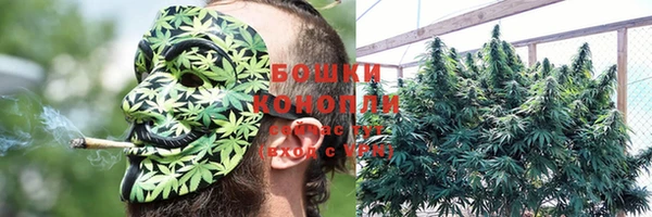 шишки Волосово