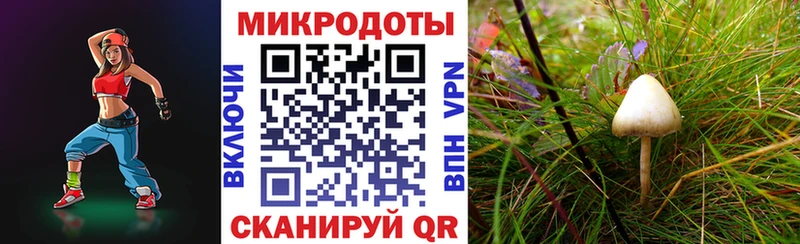 наркошоп  Таганрог  mega как зайти  Псилоцибиновые грибы Psilocybe 
